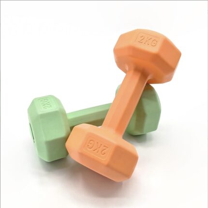 Fitness Weightlifting Dumbbells Yoga Equipment Cement 1.5kg Gym Dumbbells for Women